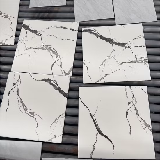 Trusus 600X600mm Cement Porcelain Rustic Antique Ceramic Tile Floor Tile